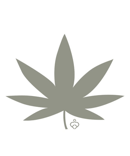 ORGANIC HEMP MEDITATE T